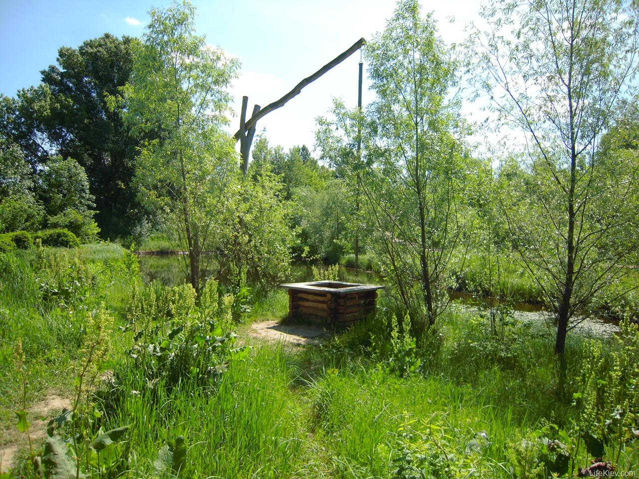 Федор Колодезник